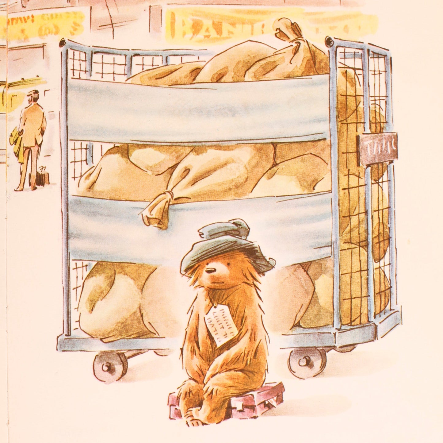 Paddington Bear