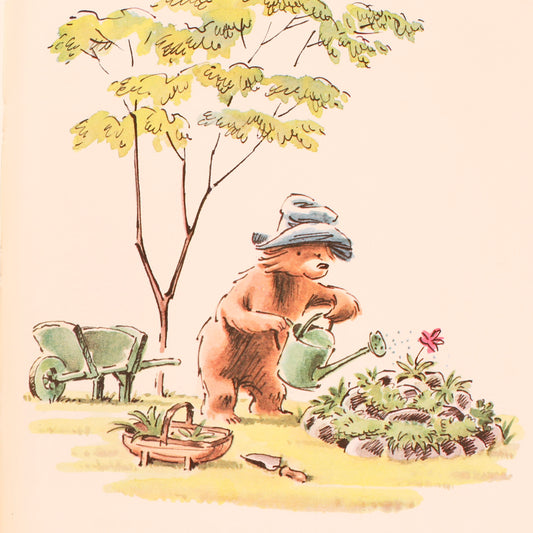 Paddington's Garden
