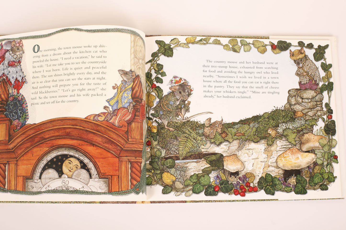 Town Mouse Country Mouse