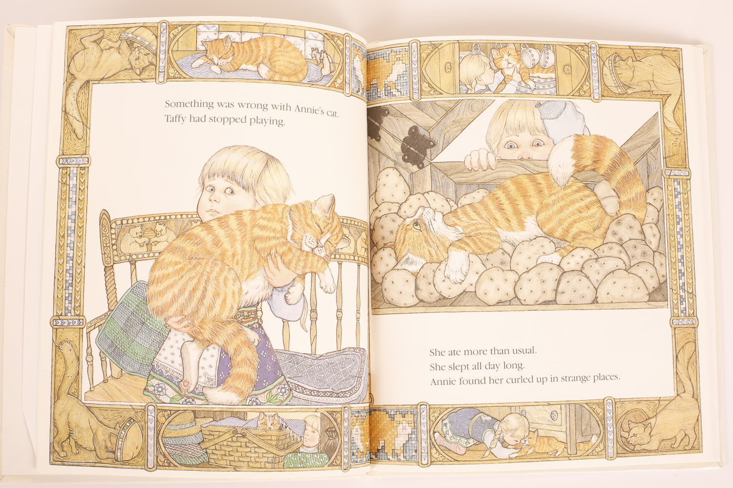 Annie and the Wild Animals