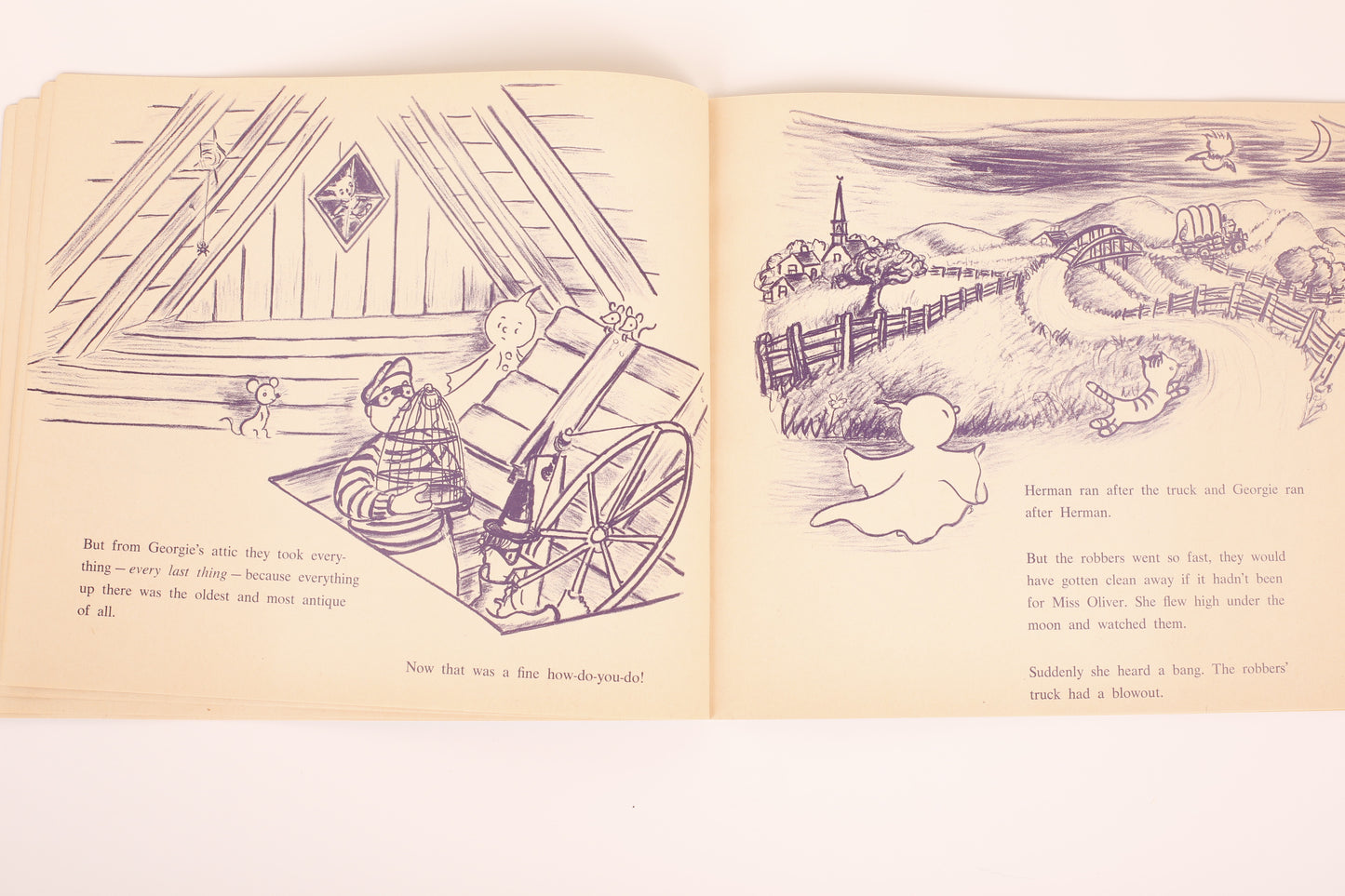 Georgie and the Robbers