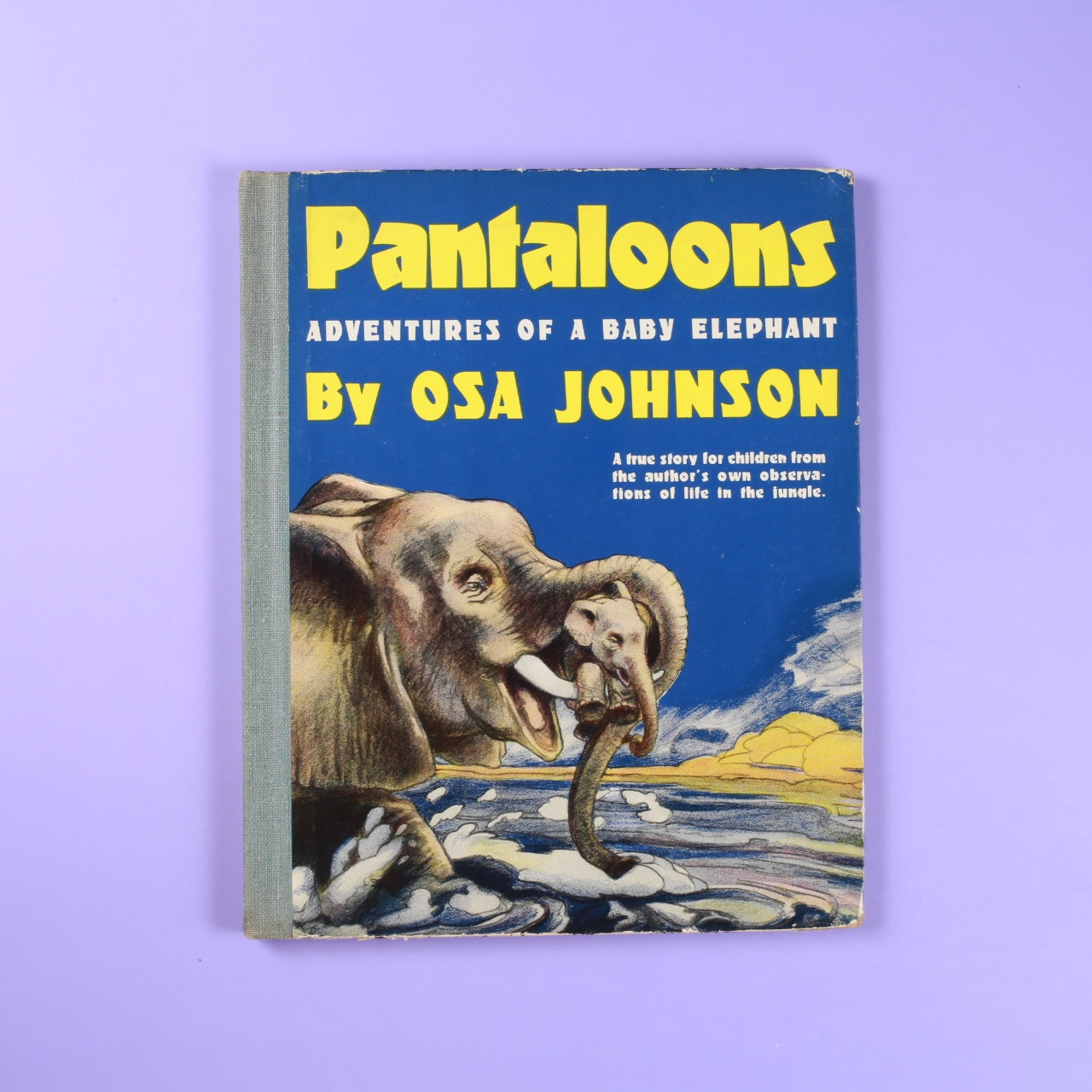 Pantaloons: Adventures of a Baby Elephant