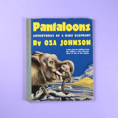 Pantaloons: Adventures of a Baby Elephant