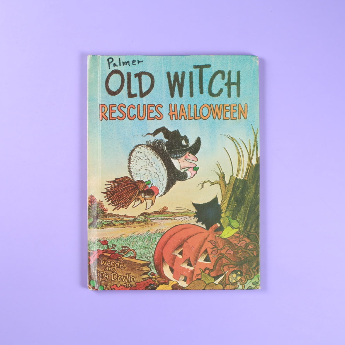 Old Witch Rescues Halloween