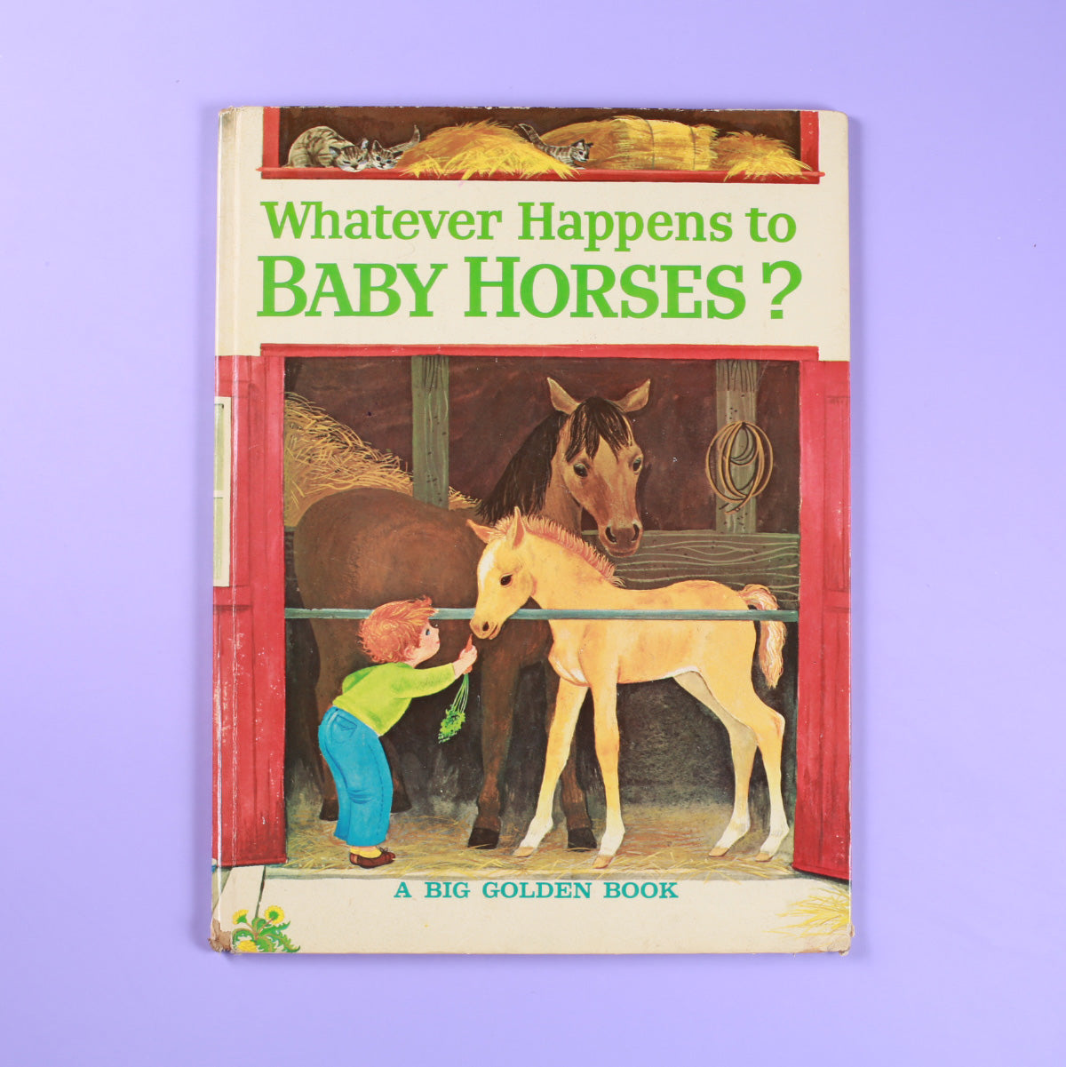 Whatever Happens to Baby Horses?