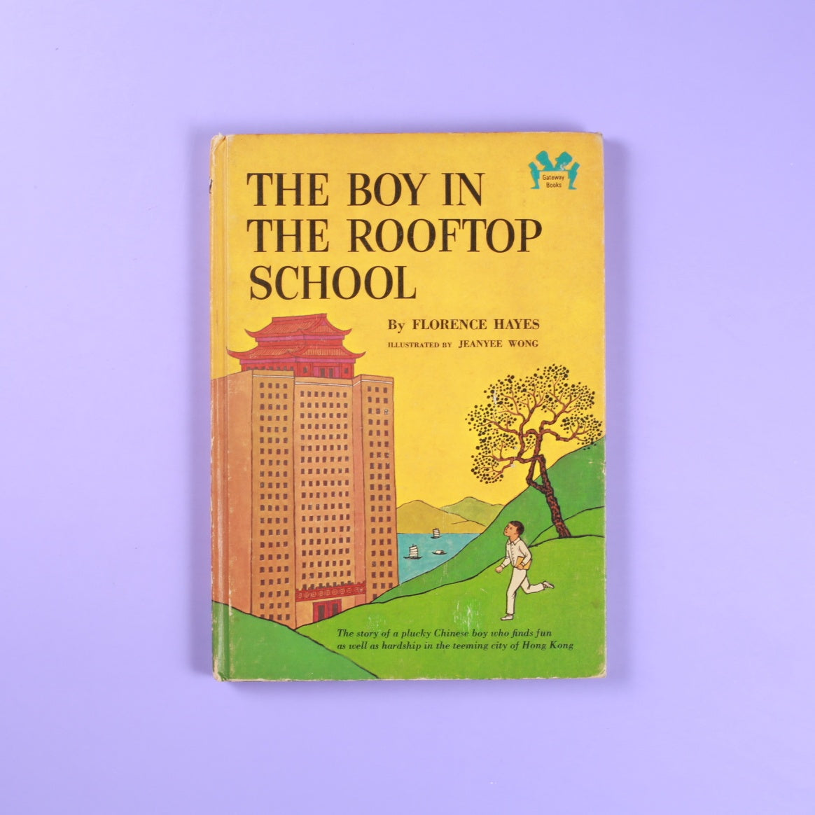 The Boy in The Rooftop School