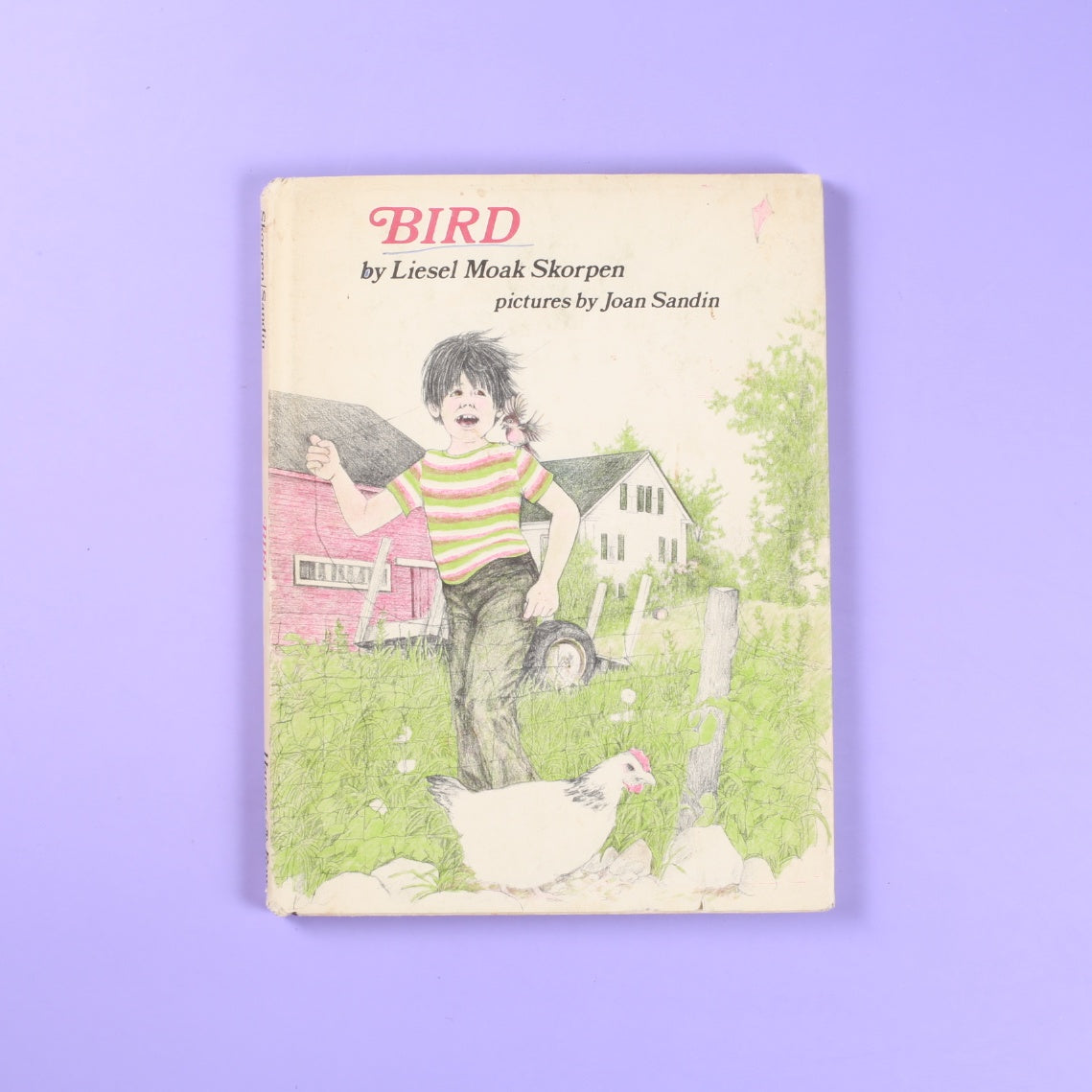 Bird