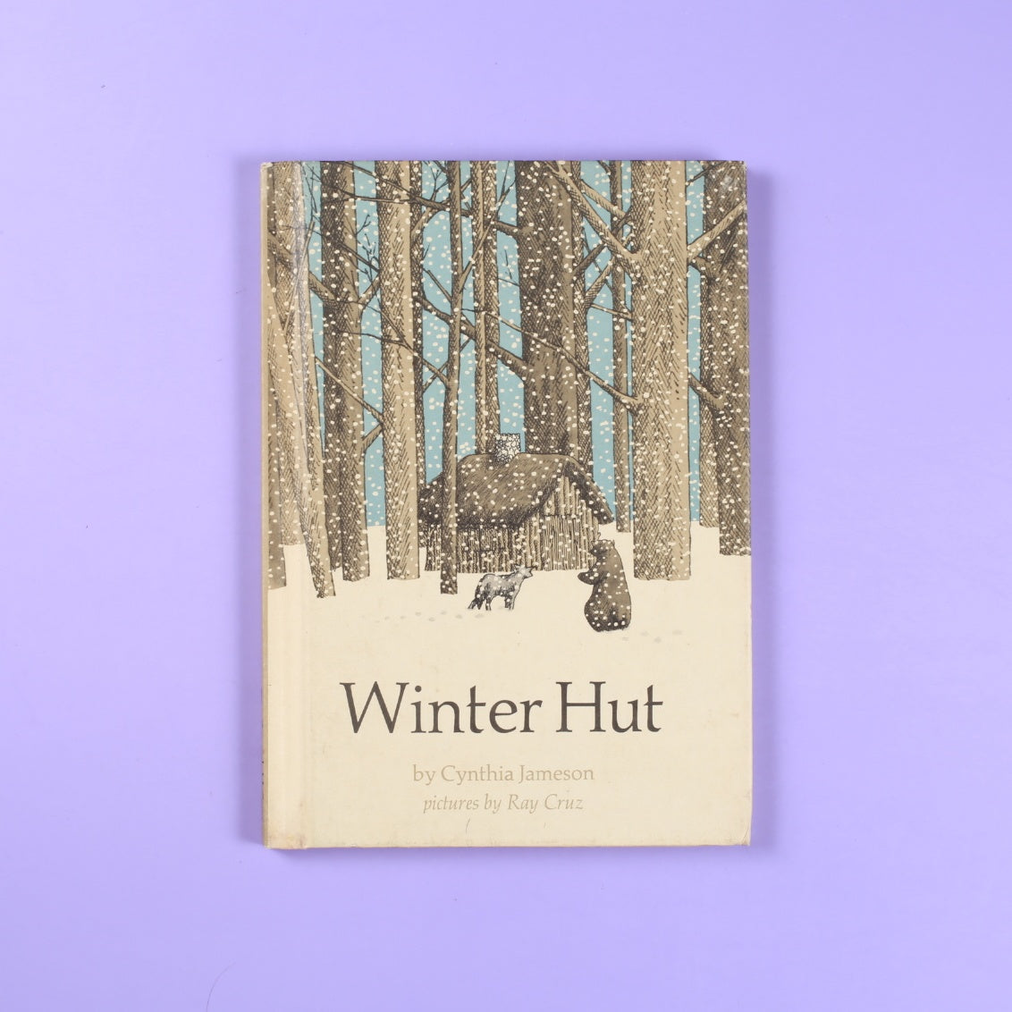 Winter Hut
