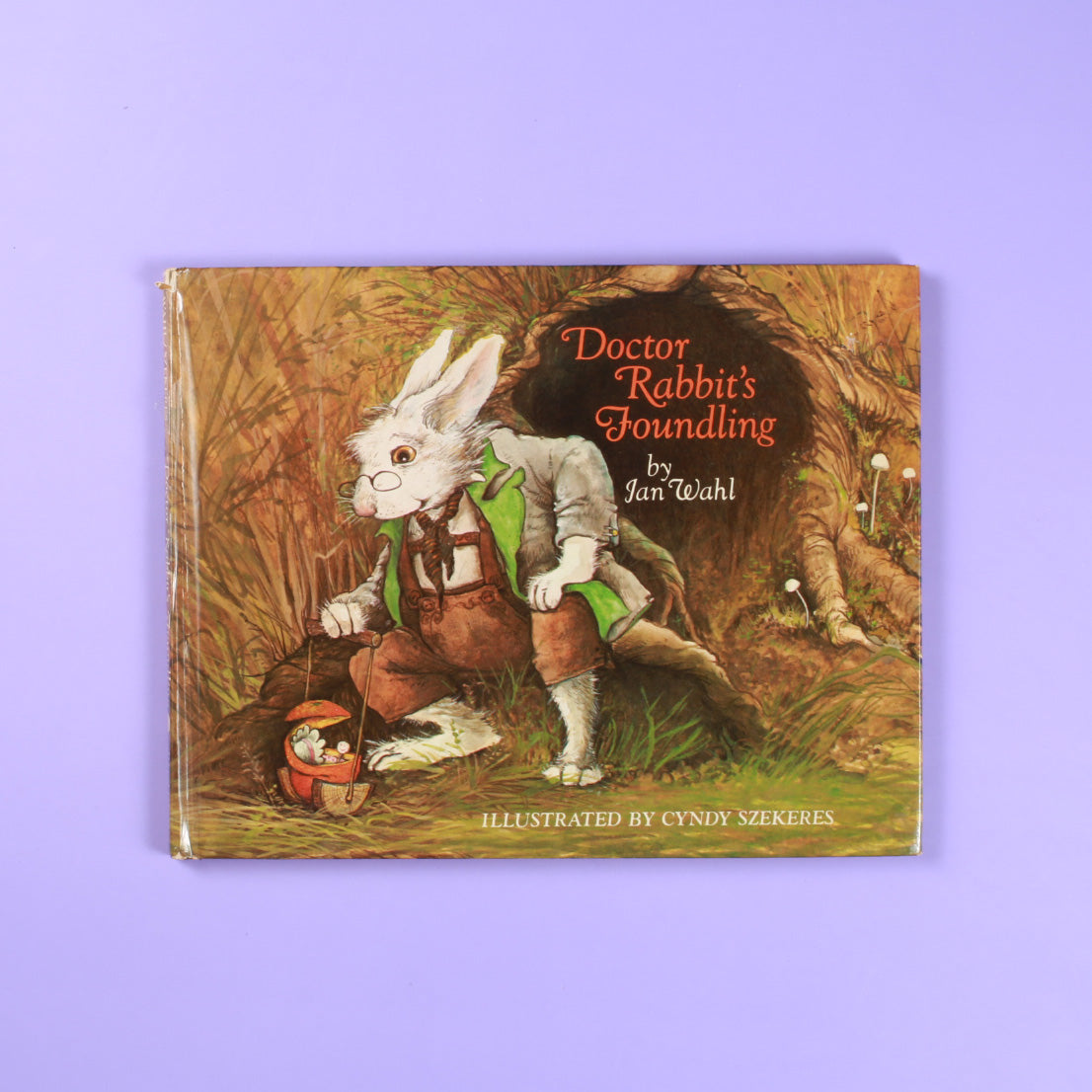 Doctor Rabbit's Foundling