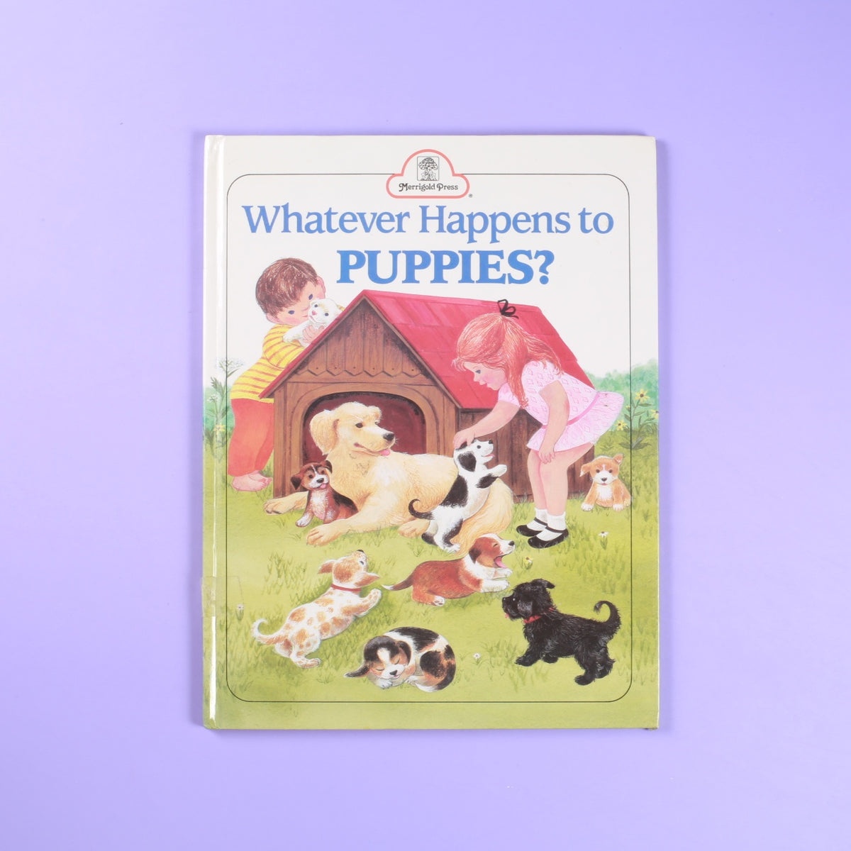 Whatever Happens to Puppies?