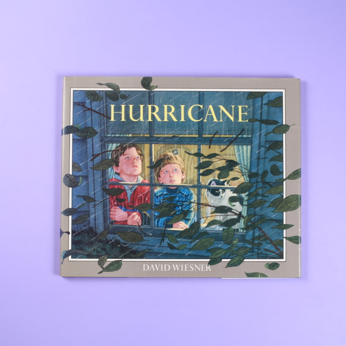 Hurricane