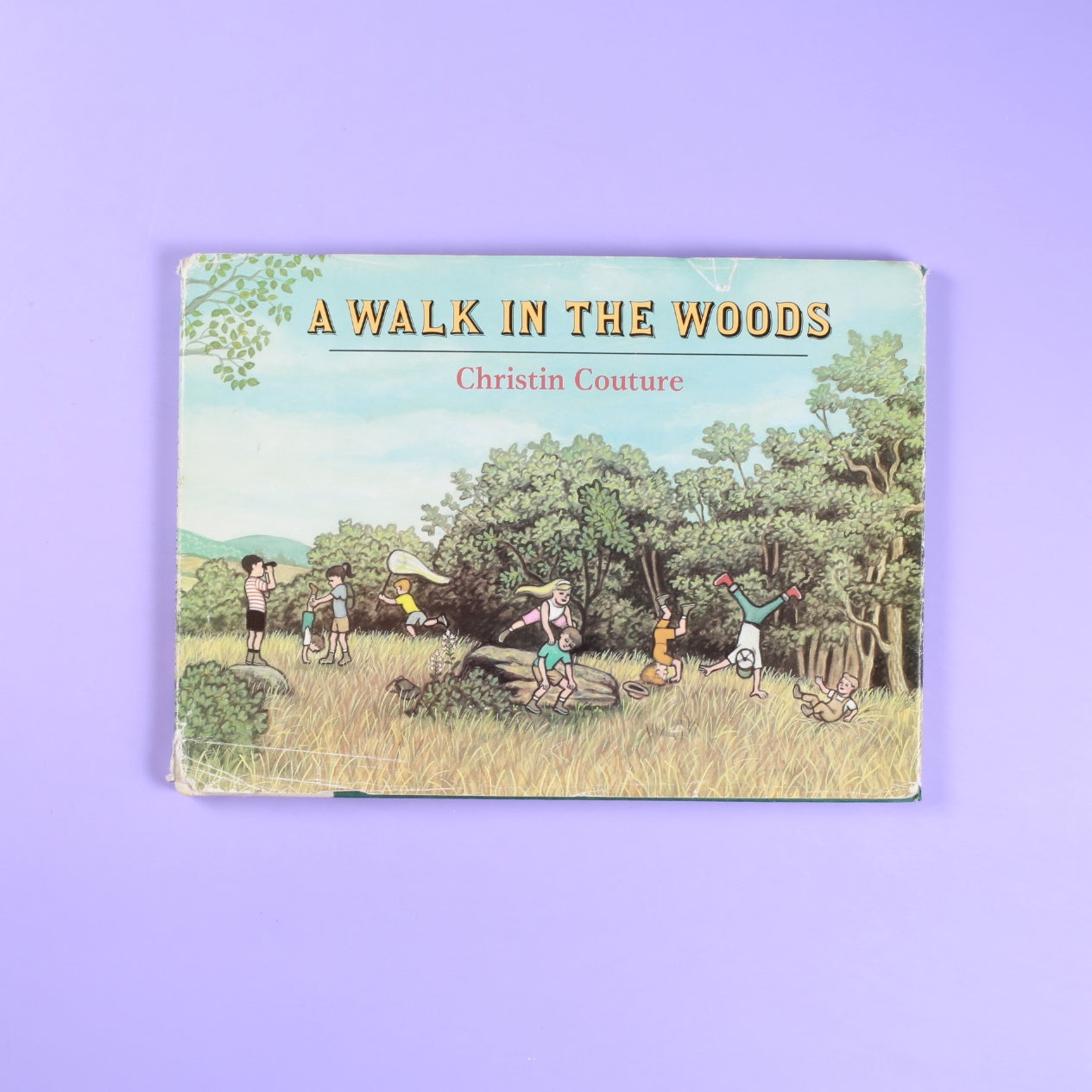 A Walk In The Woods