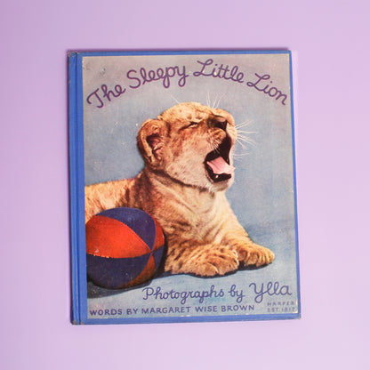 The Sleepy Little Lion