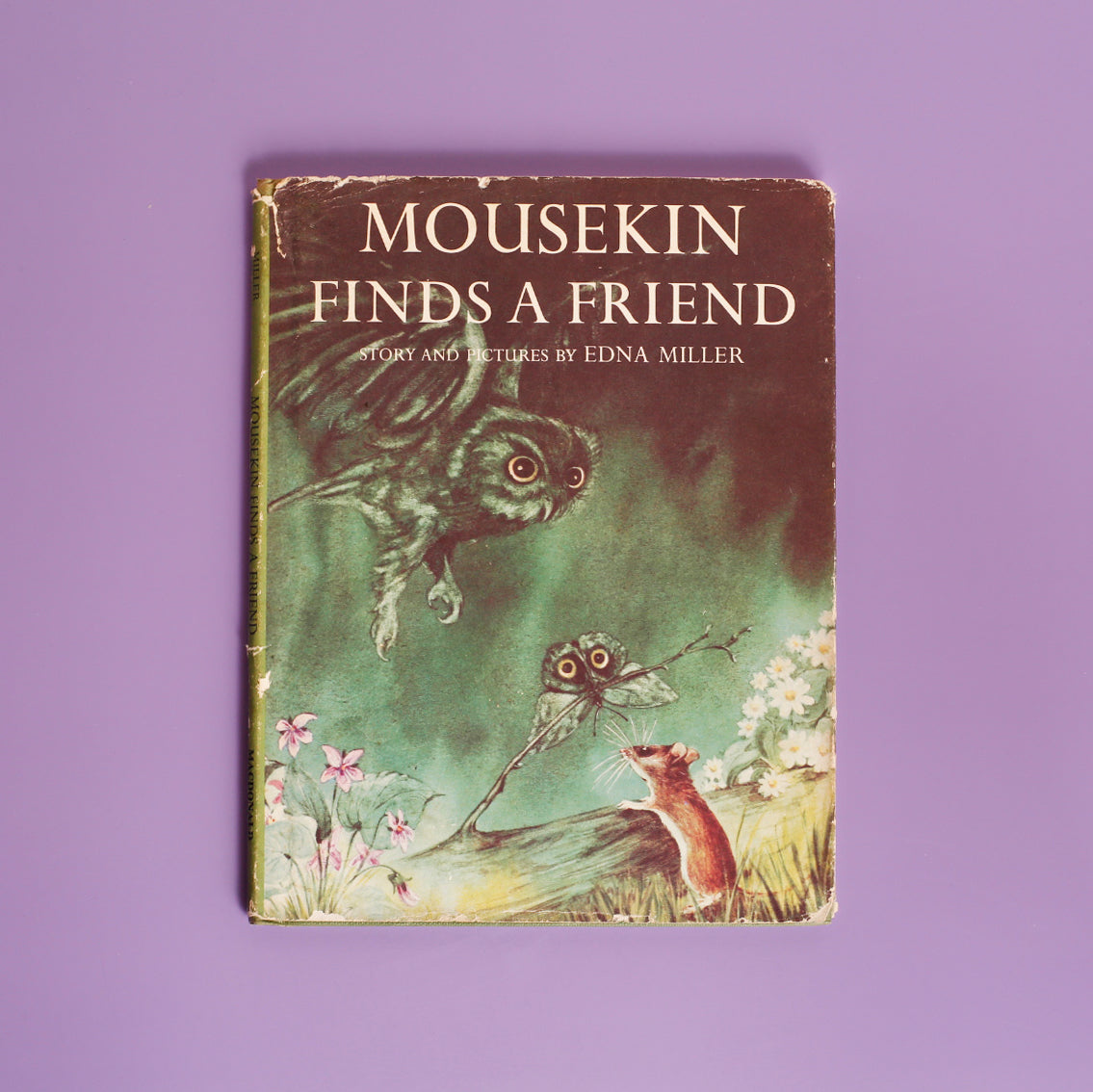 Mousekin Finds a Friend