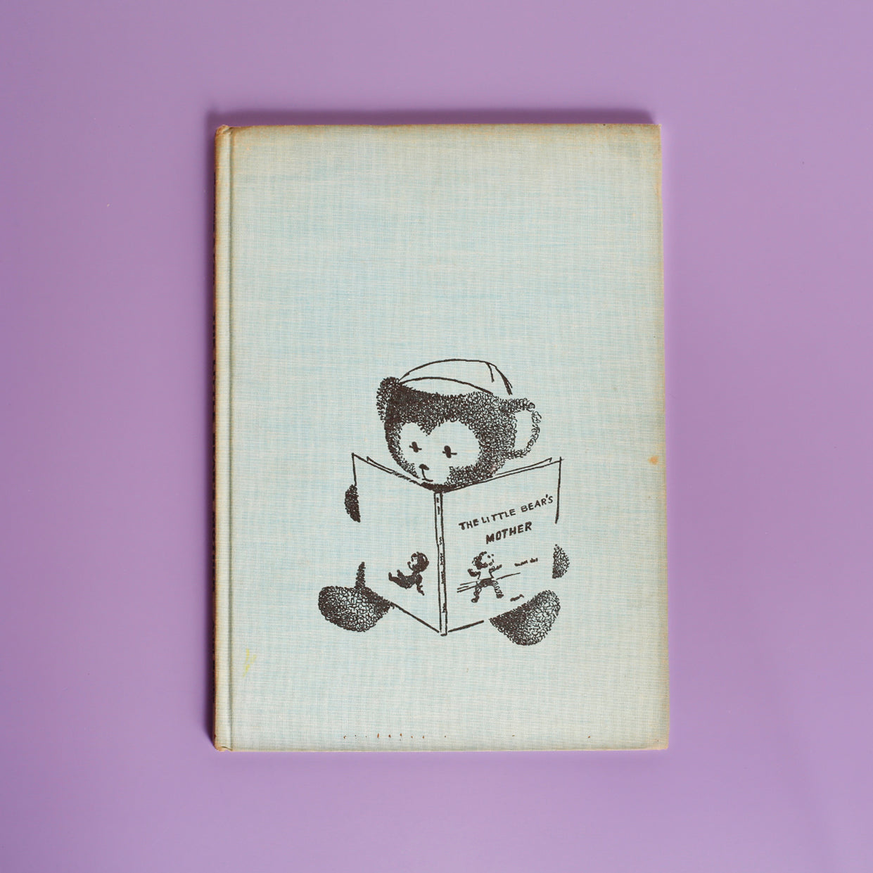 The Little Bear's Mother