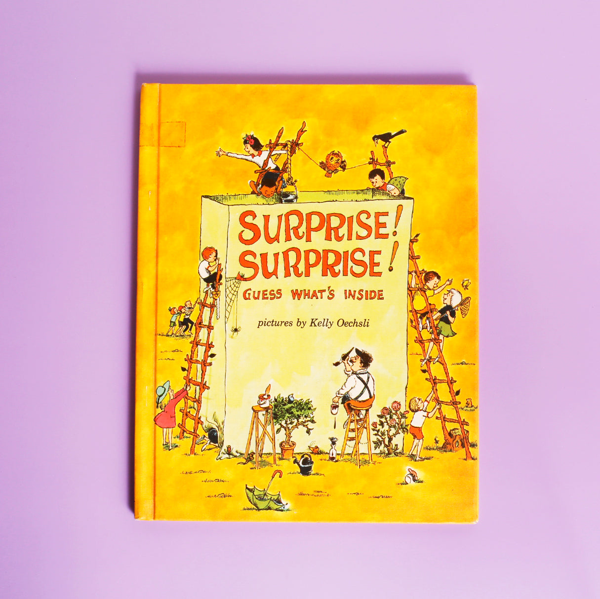 Surprise! Surprise! Guess What's Inside