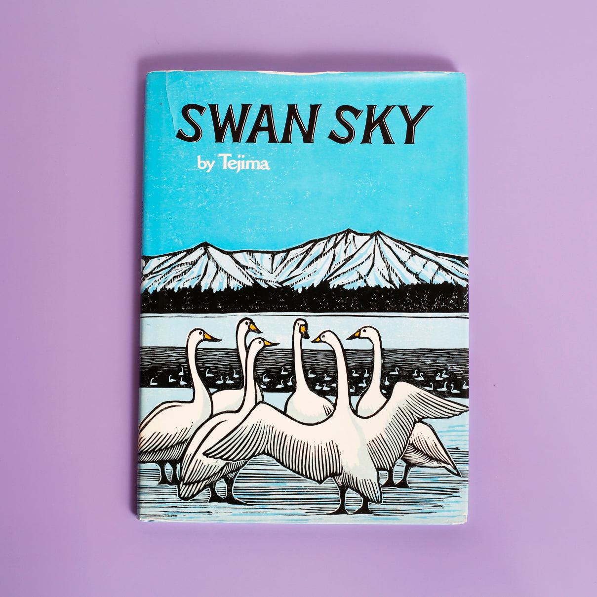 Swan Sky