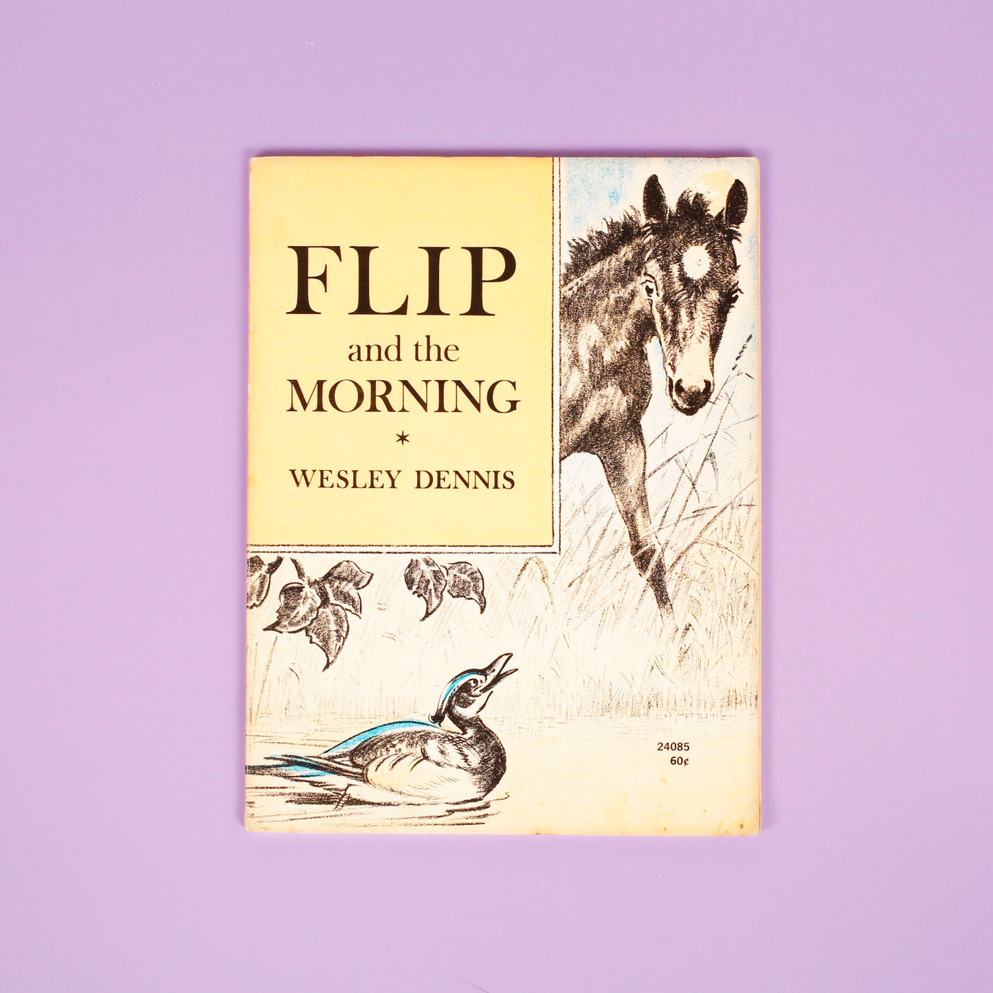 Flip and the Morning