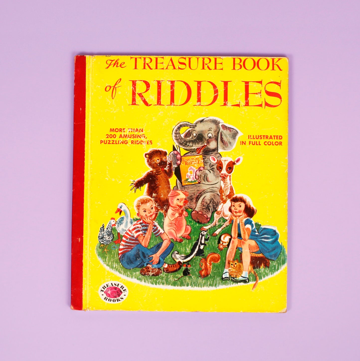 The Treasure Book of Riddles