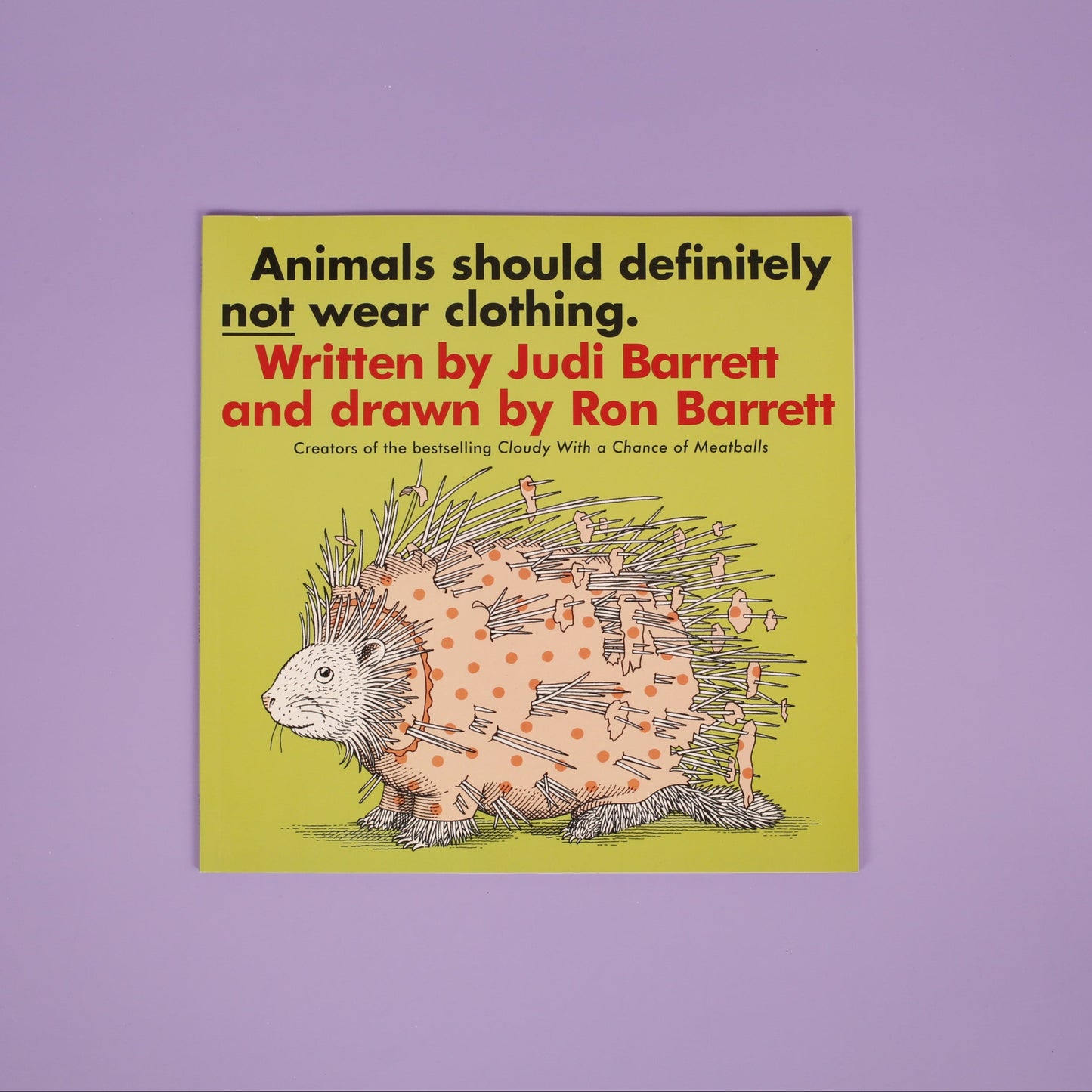 Animals should definitely not wear clothing