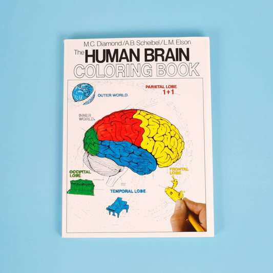 The Human Brain Coloring Book