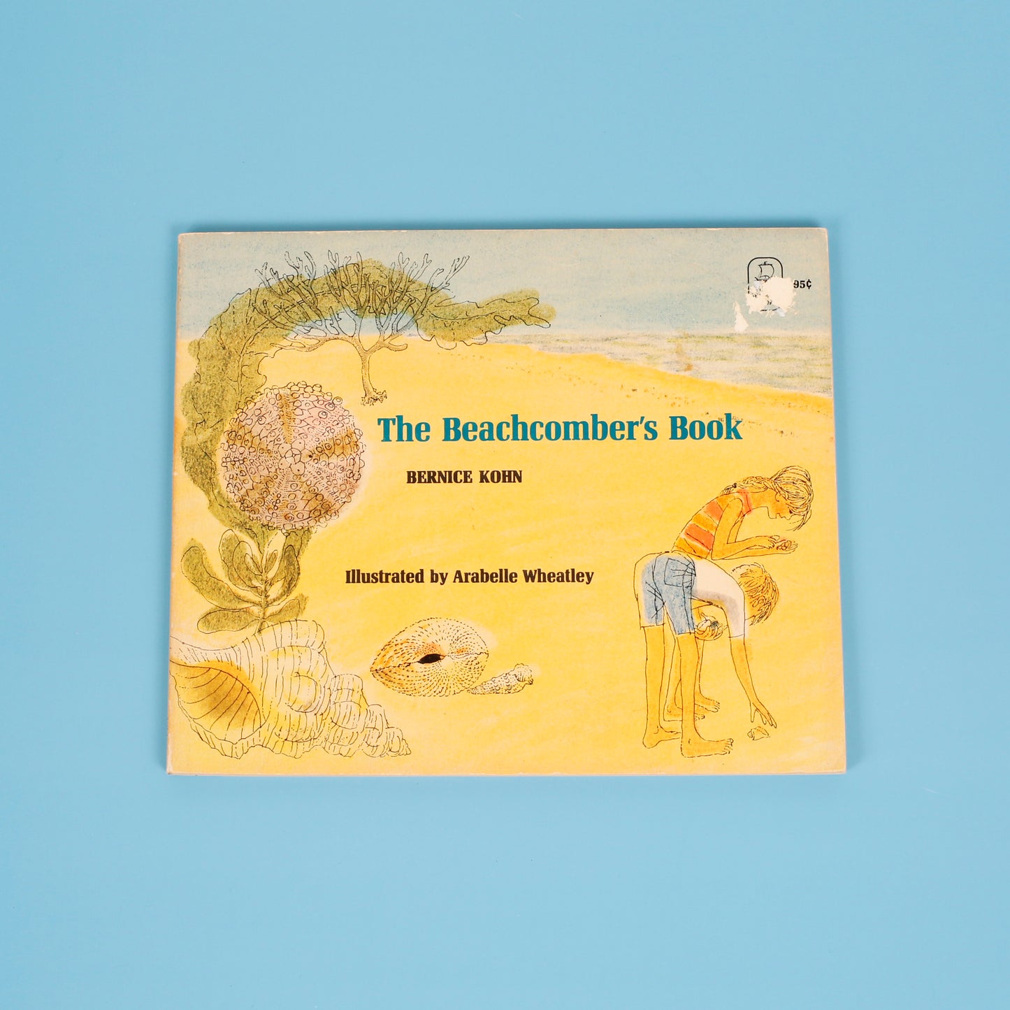 The Beachcomber's Book