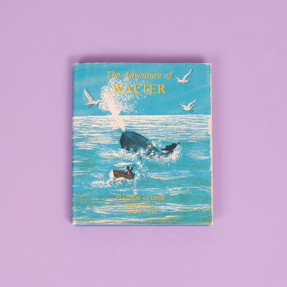 The Adventure of Walter