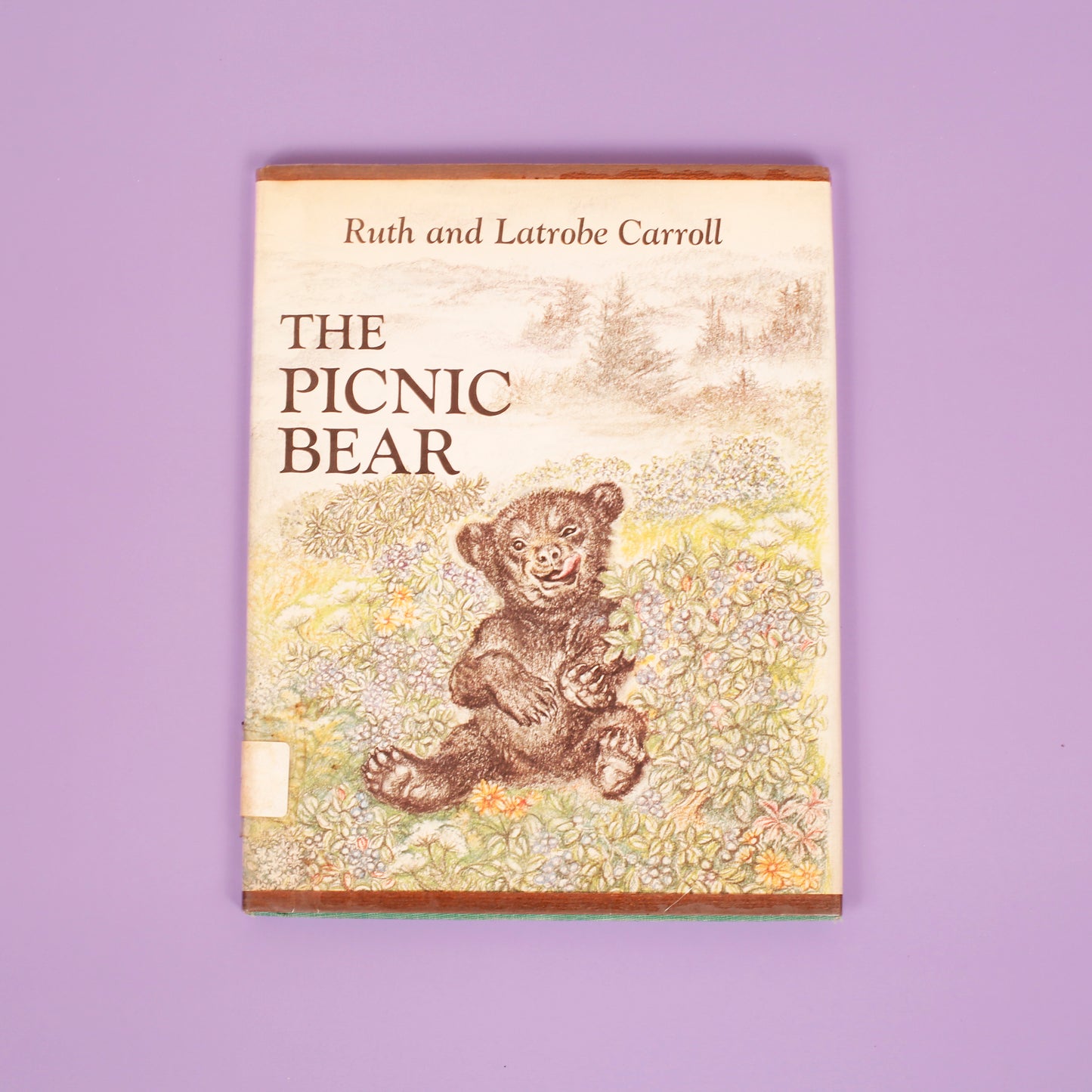 The Picnic Bear