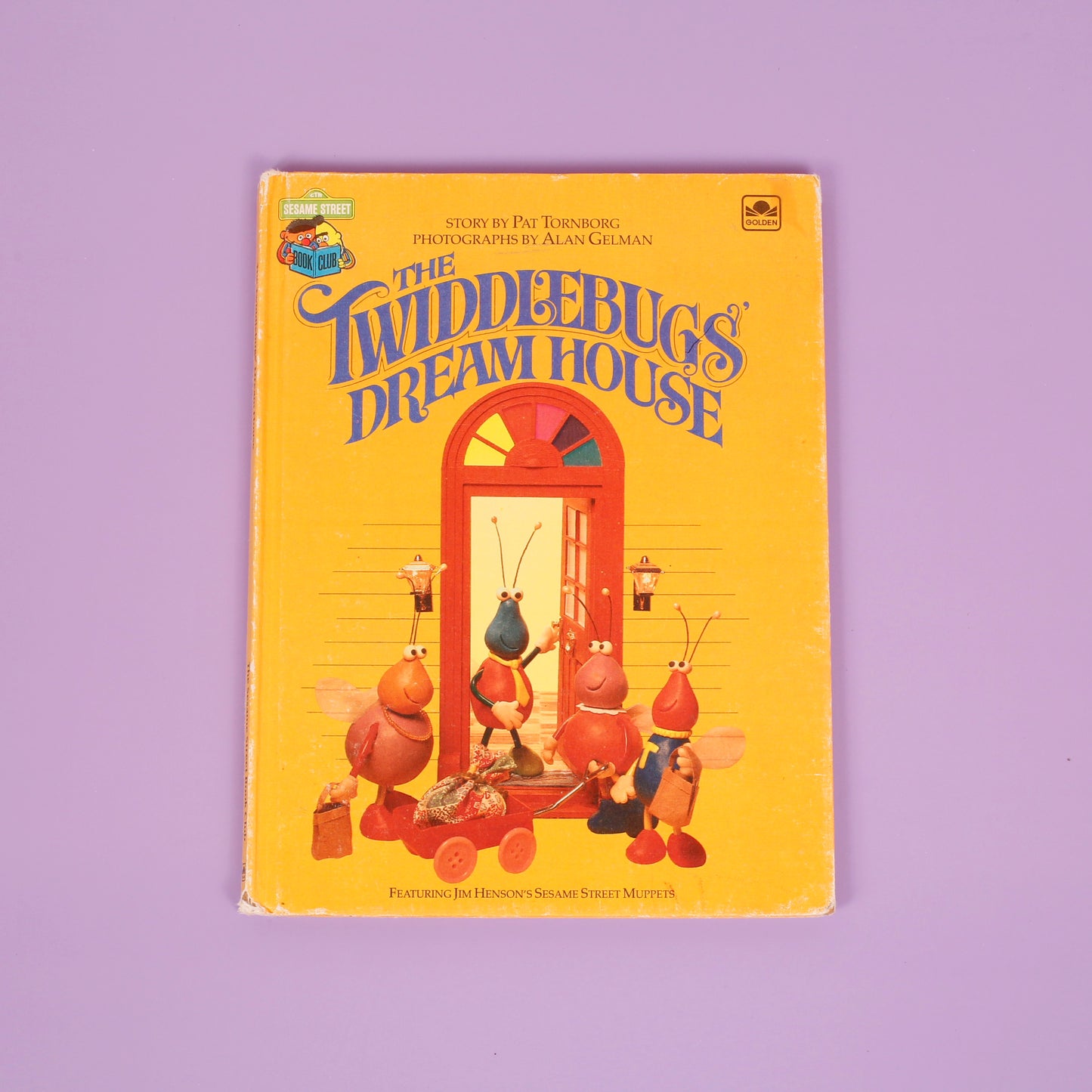 The Twiddlebugs' Dream House
