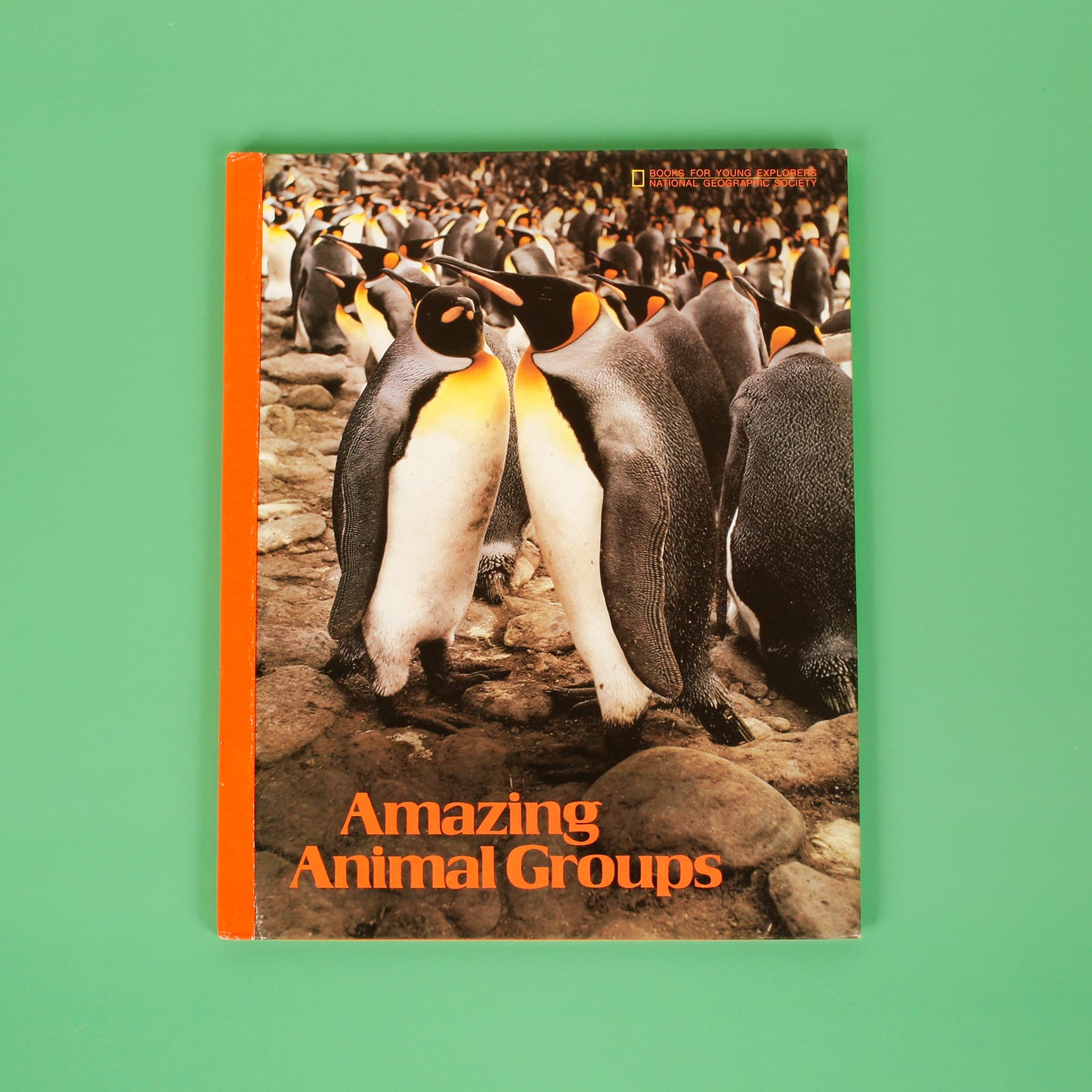 Amazing Animal Groups (National Geographic Books for Young Explorers)