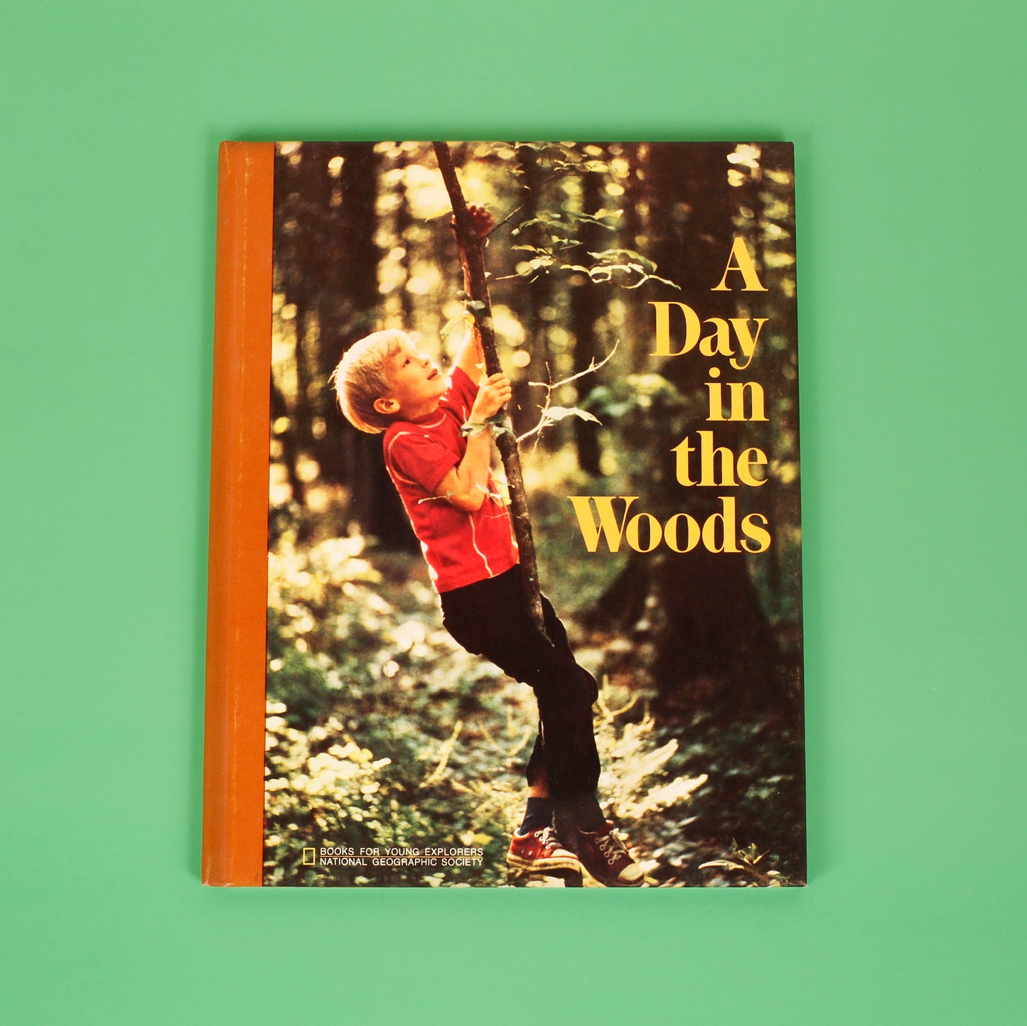 A Day in the Woods (National Geographic Books for Young Explorers)