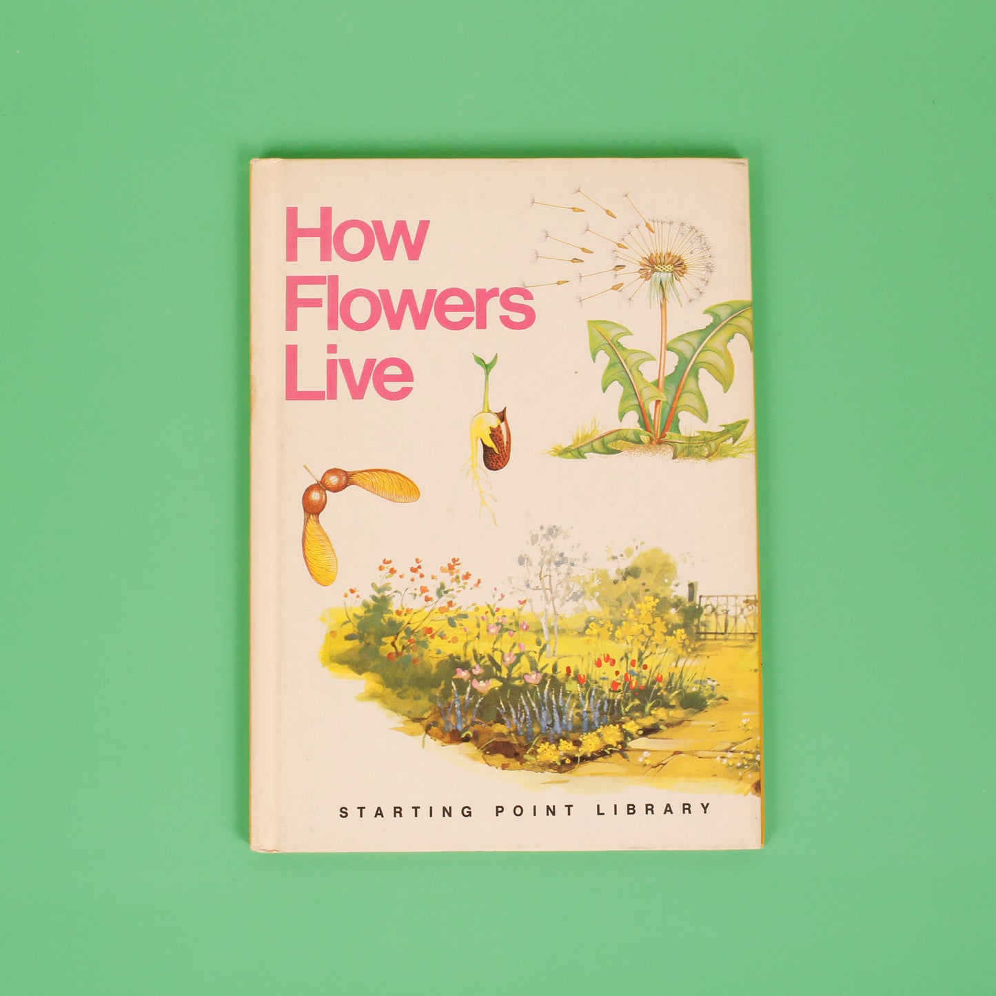 How Flowers Live (Starting Point Library)