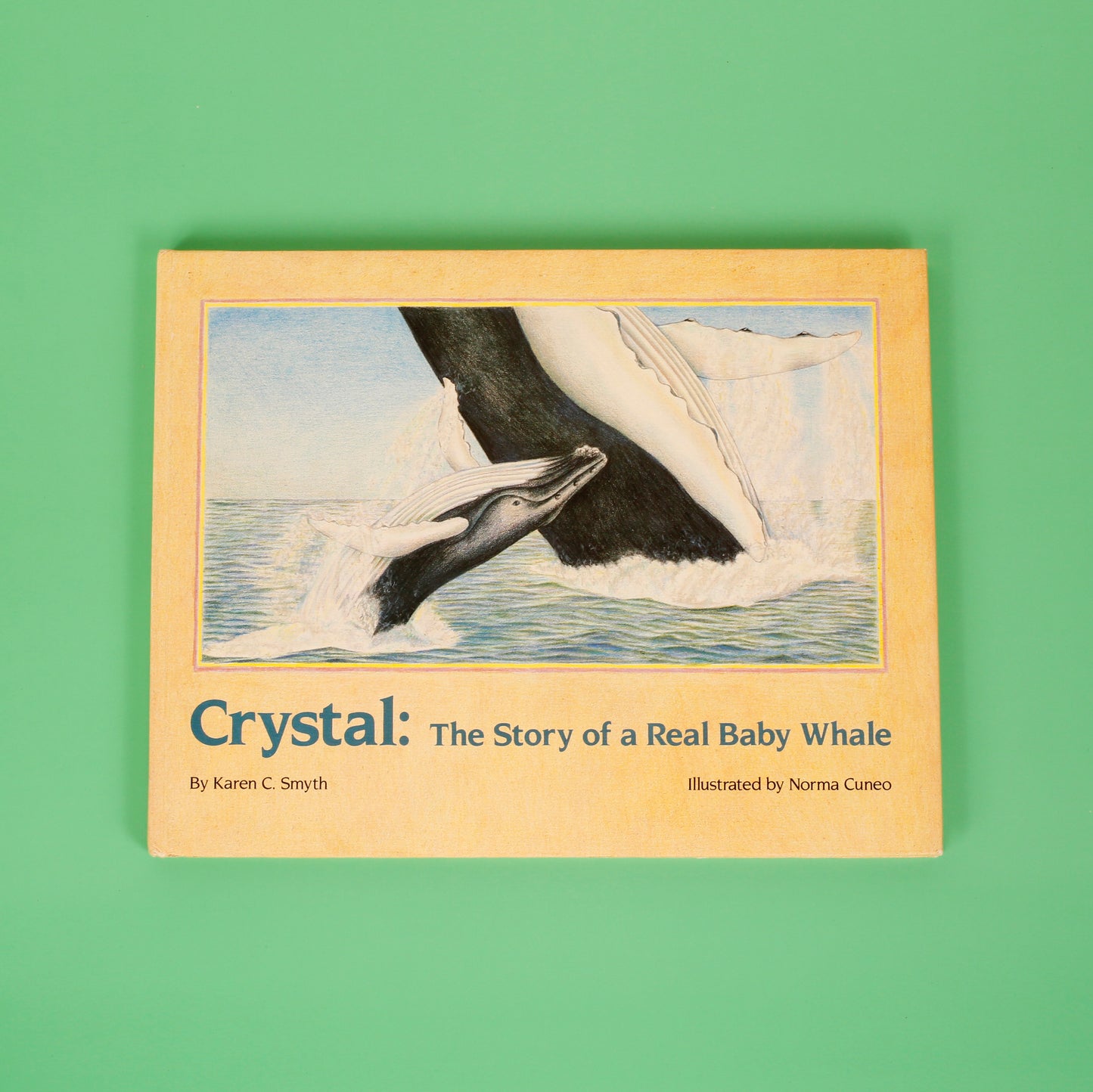 Crystal: The Story of a Real Baby Whale