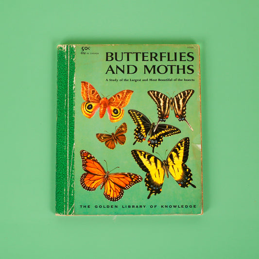 Butterflies and Moths (The Golden Library of Knowledge)