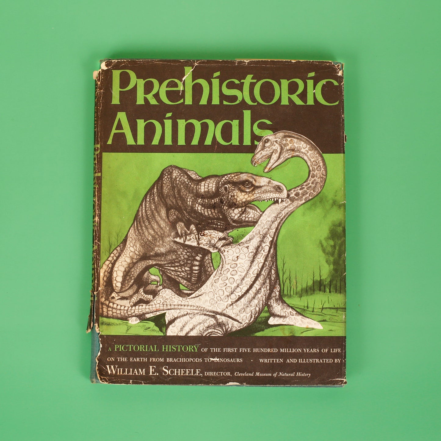 Prehistoric Animals