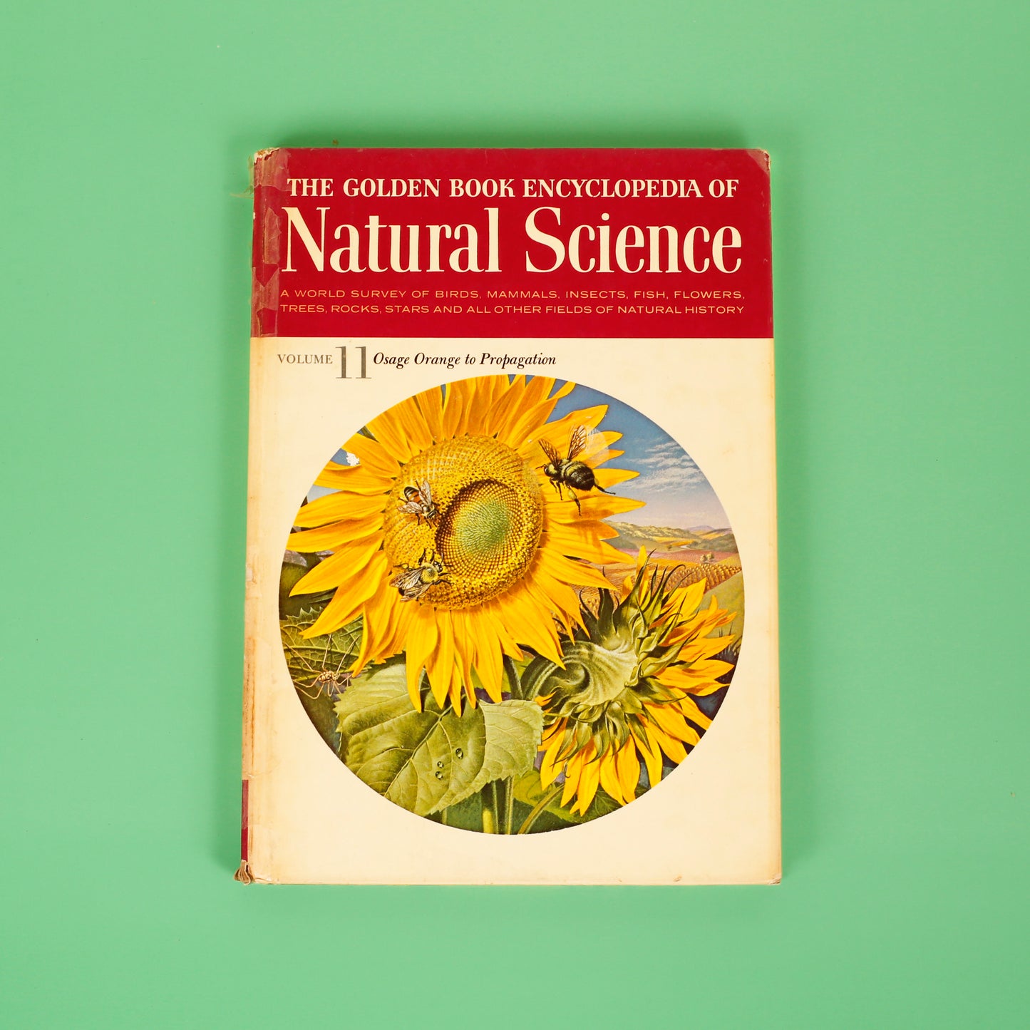 The Golden Book Encyclopedia of Natural Science, Volume 11