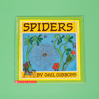 Spiders
