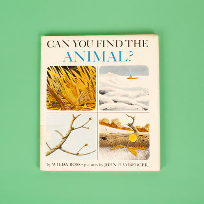 Can You Find the Animal?