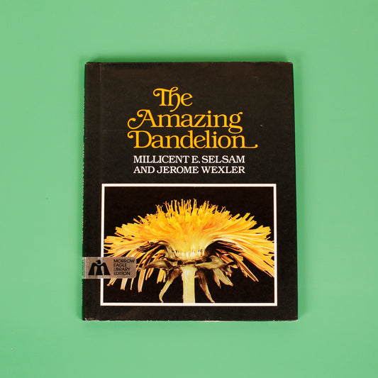 The Amazing Dandelion