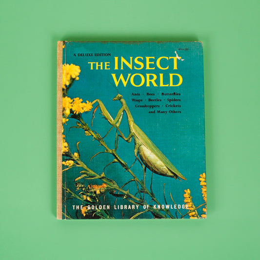 The Insect World