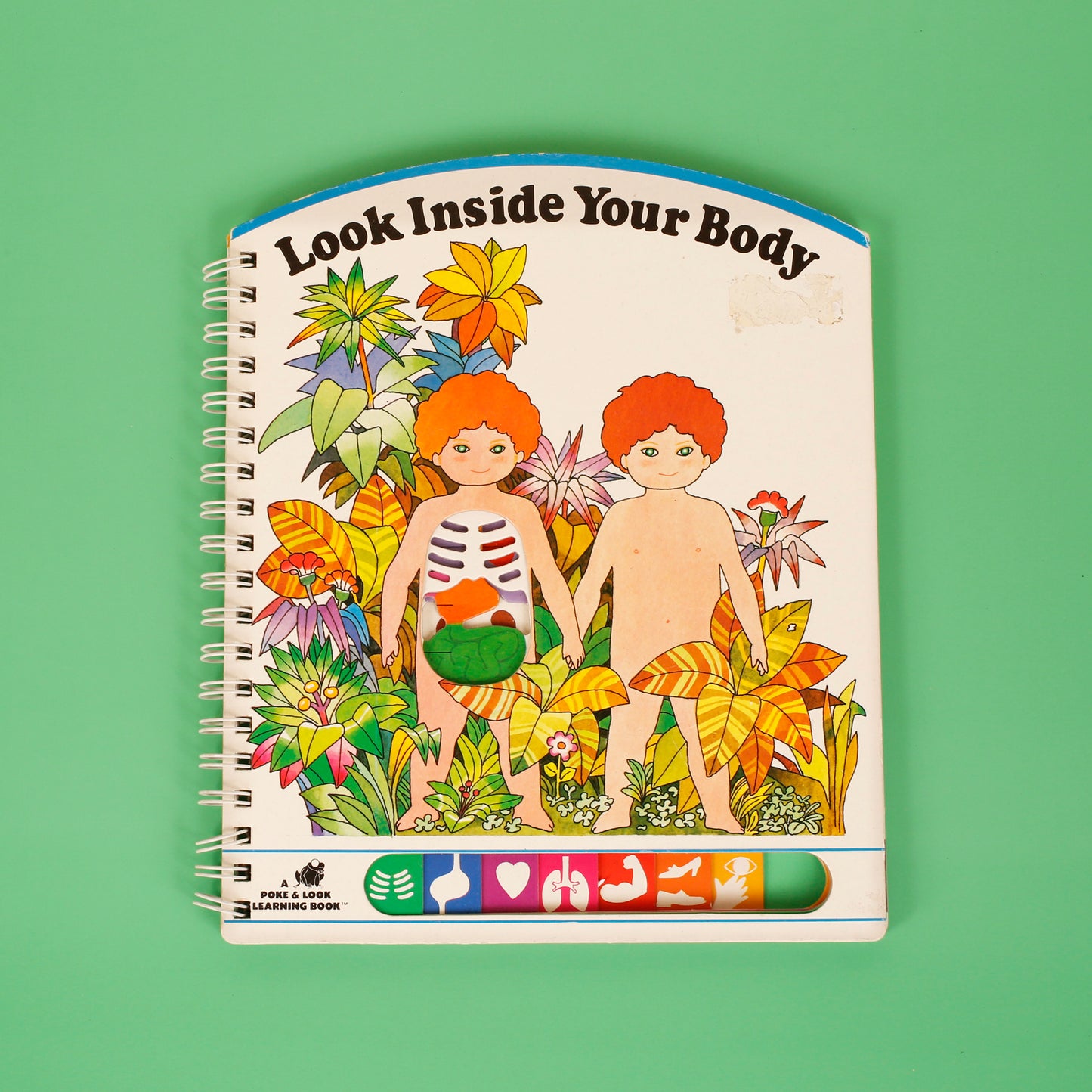 Look Inside Your Body (Poke & Look Learning Book™)