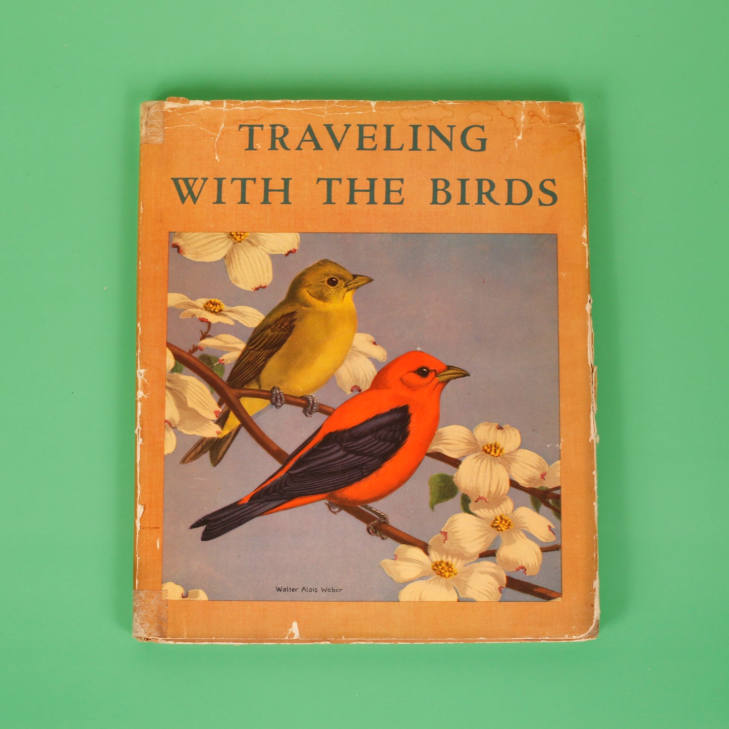Traveling With the Birds