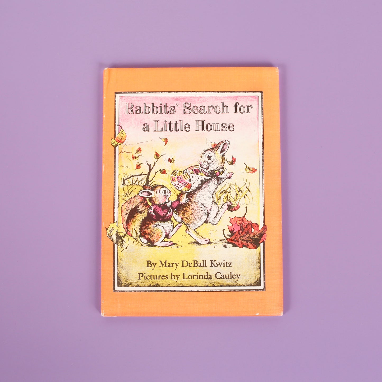 Rabbits' Search for a Little House