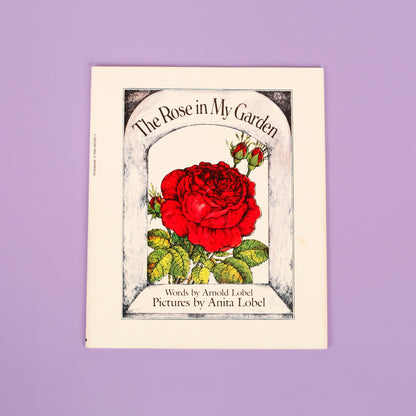 The Rose in My Garden