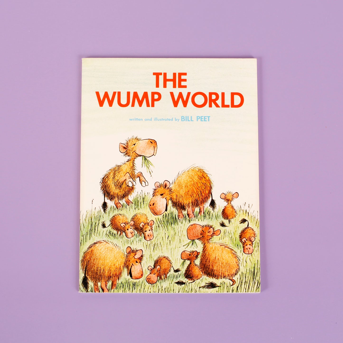 The Wump World