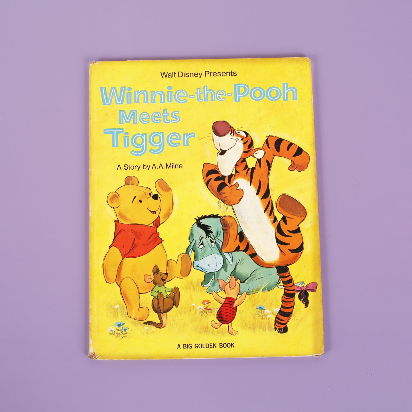 Winnie-the-Pooh Meets Tigger