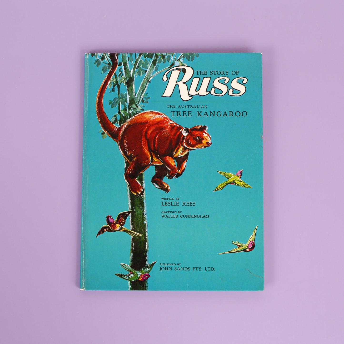 Russ the Australian Tree Kangaroo