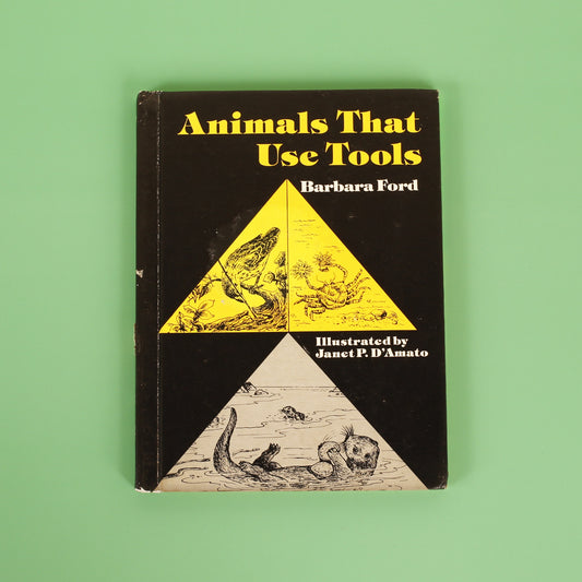 Animals That Use Tools