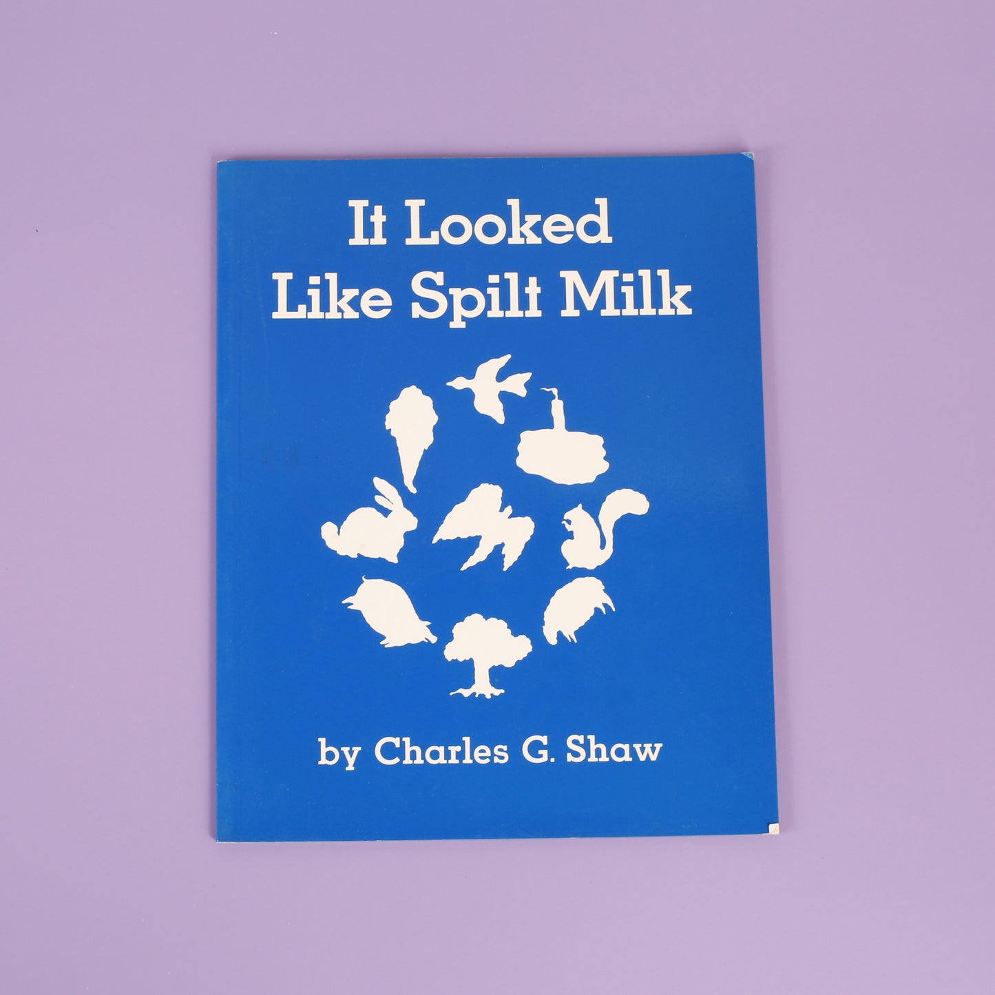 It Looked Like Spilt Milk
