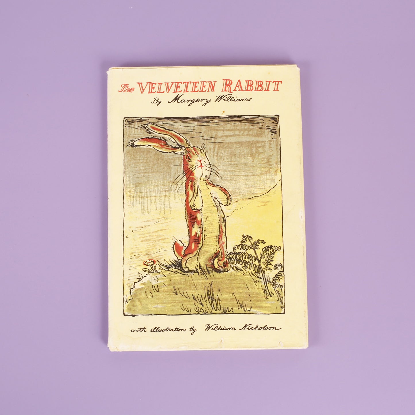 The Velveteen Rabbit